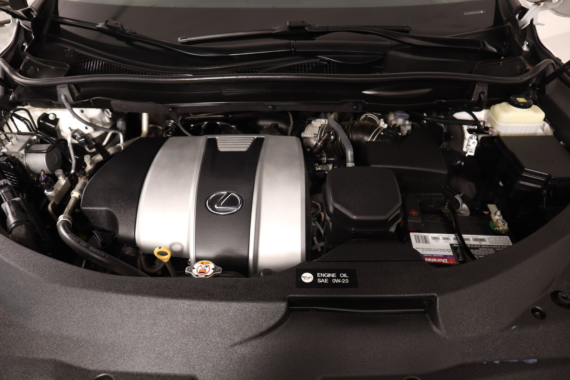 2019 Lexus RX F SPORT