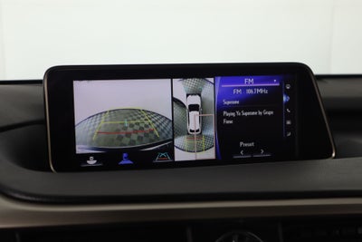 2019 Lexus RX F SPORT