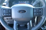 2025 Ford F-150 STX SERVICE LOANER