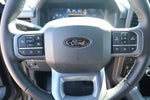 2025 Ford F-150 XLT SERVICE LOANER